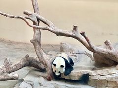 -宁波野生动物园