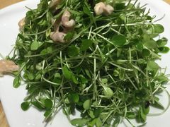 -金悦印象小馆(三里河店)