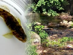 -众神白水涧景区