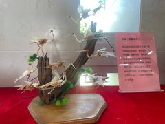 -华侨公园