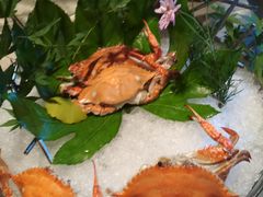 -大理实力希尔顿酒店•香全日制餐厅