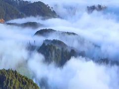 -小八仙·宴(三峡茶庄店)