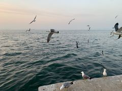 -星海广场