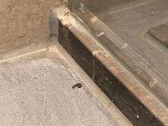 -如家精选酒店(苏州火车站苏锦地铁站店)