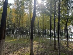 -艾溪湖湿地公园