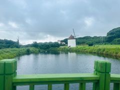 -济州森林小火车生态公园