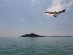 -海驴岛(荣成市)