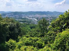 -火炉山森林公园
