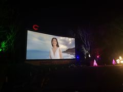 -枫花园汽车电影院(朝阳公园店)