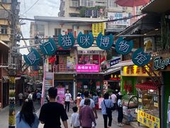 -猫咪博物馆(顶澳仔猫街店)