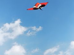 -栖露营camping·天幕烧烤·团建拓展·采摘营地