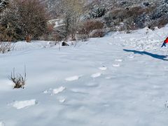 -太子岭滑雪场