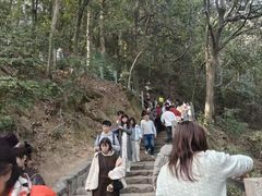 -灵顺寺