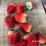 润泽喉部。最好在饭后吃