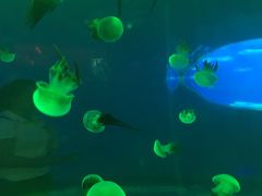 -多彩贵州城极地海洋世界