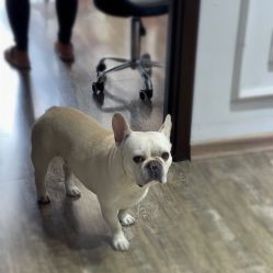 -IDEA·艾蒂尔科技美肤·日式美甲美睫集合店