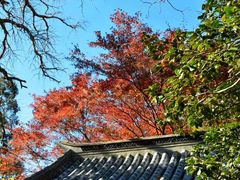 -青岛崂山太清宫