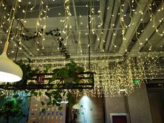 -京城·森鸽排档(双井店)
