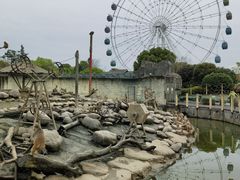 -常州淹城野生动物世界