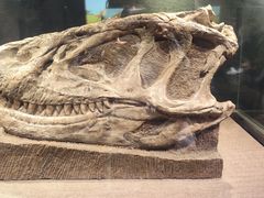 -自贡恐龙博物馆