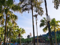 -重庆海昌加勒比海水世界