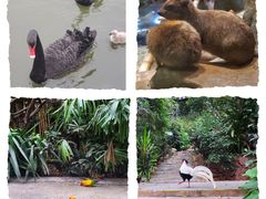 -广州长隆野生动物世界