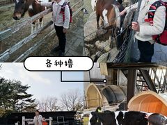-神户市立六甲山牧场