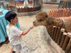 -宝燕乐园(闵行旗舰店)