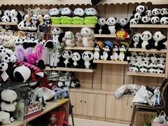 -石家庄市动物园