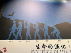 -贵州省地质博物馆