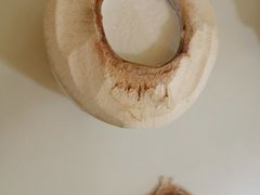 -志龙皇冠吃货椰子铺