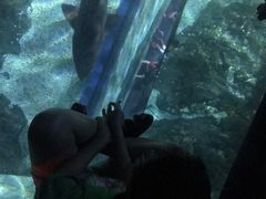 -暹罗海洋世界