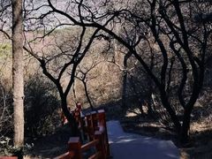 -香山公园-东宫门售票处