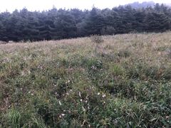 -白草畔自然风景区