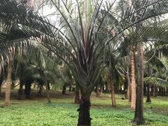 -白沙门生态公园