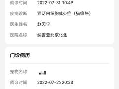 -纳吉亚猫专科动物医院·北北分院