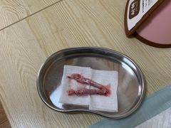 -乐派堂宠物医院·猫友好· 心脏科(东街店)