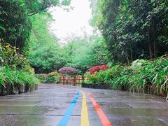 -天目湖涵田半山温泉水乐园