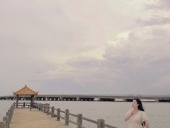 -东郊椰林