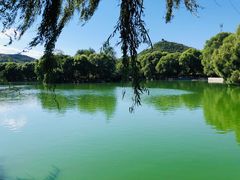 -石家庄市动物园