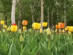 -长春公园(普阳街道)