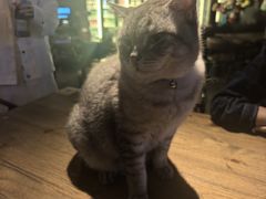-故遥酒馆.赛事直播