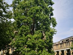 -牛津大学贝利奥尔学院