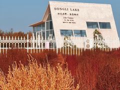 -天津东丽湖风景区