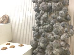-青岛贝壳博物馆