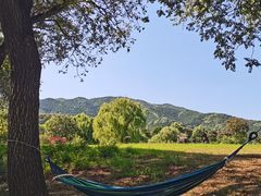 -北京西山国家森林公园