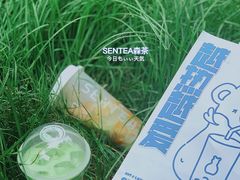 -森茶(湛江万达店)