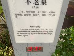 -黄山温泉国际旅游度假区