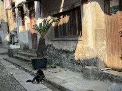 -歙县张记渔梁石头粿(渔梁住保小区店)