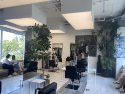 -Hair  Gallery